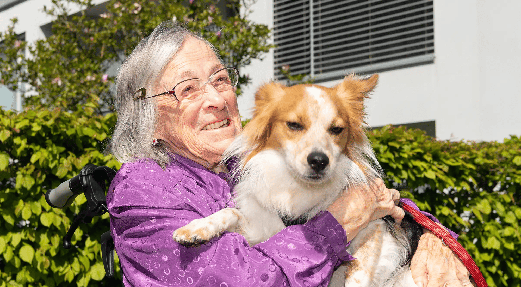 Tertianum-Bergsicht-Tiere3