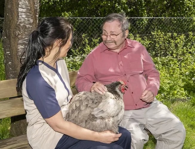 Tertianum-Lindenegg-Tierkampagne