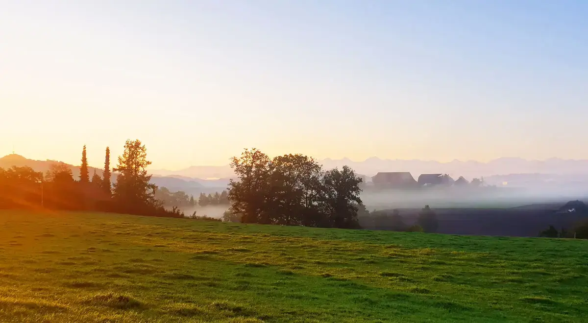 Morgensonne über einer weiten Wiese mit nebligem Panorama und Sicht auf die Alpen
