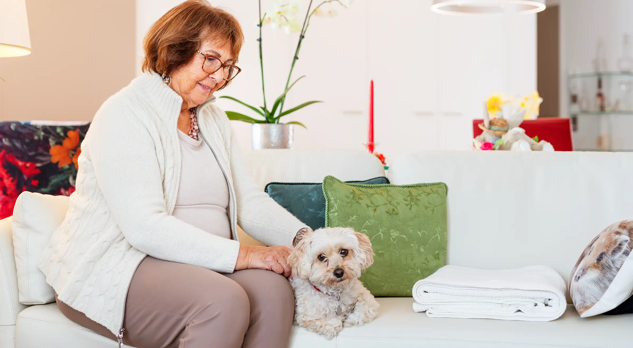 Tertianum-Glasi-Seniorenwohnung-Hund