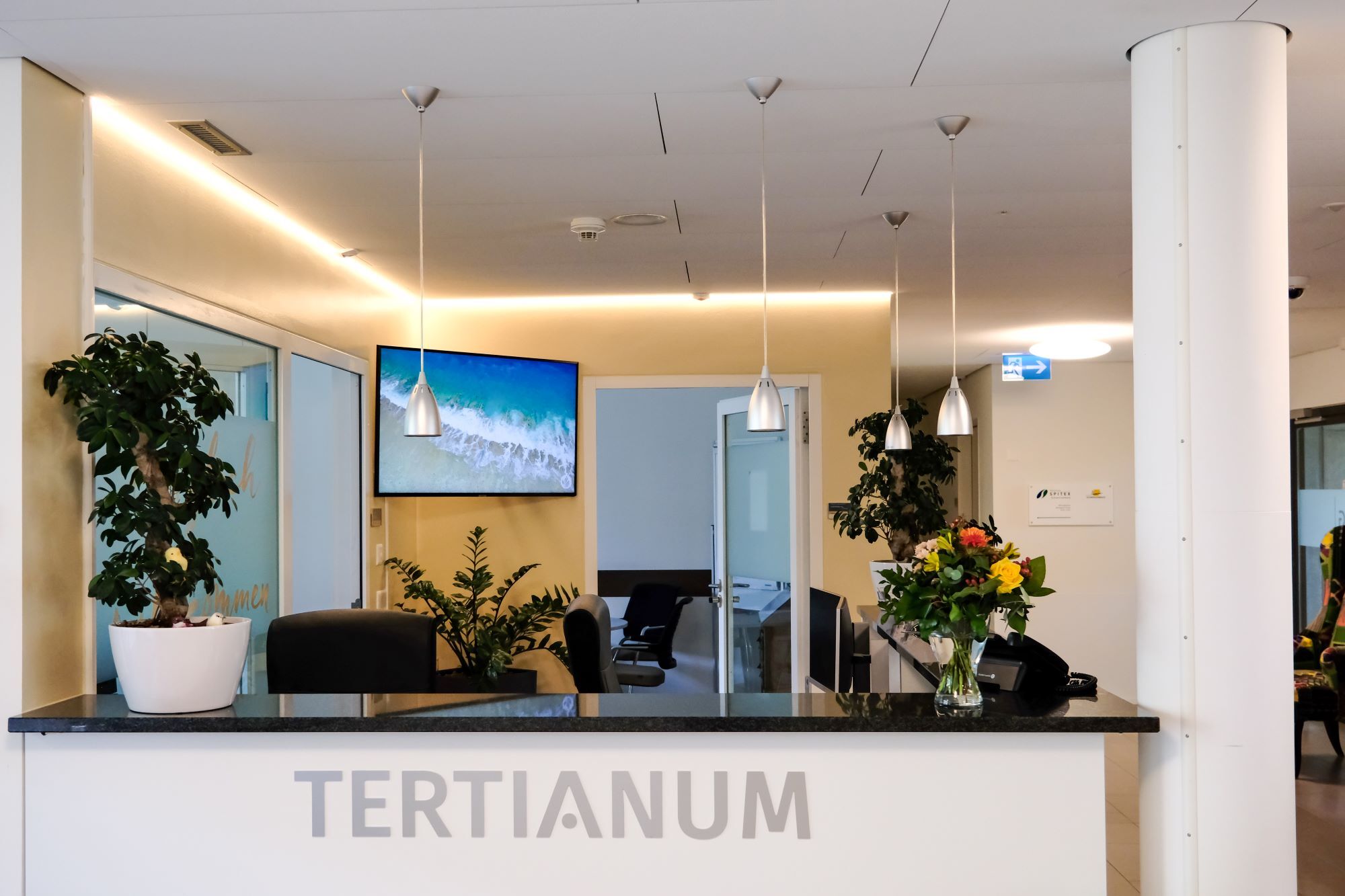 Tertianum-Im-Vieri-Empfang