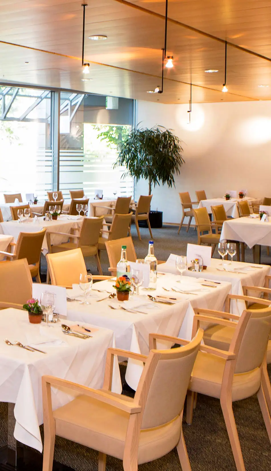 Tertianum-Brunnehof-Restaurant_hf