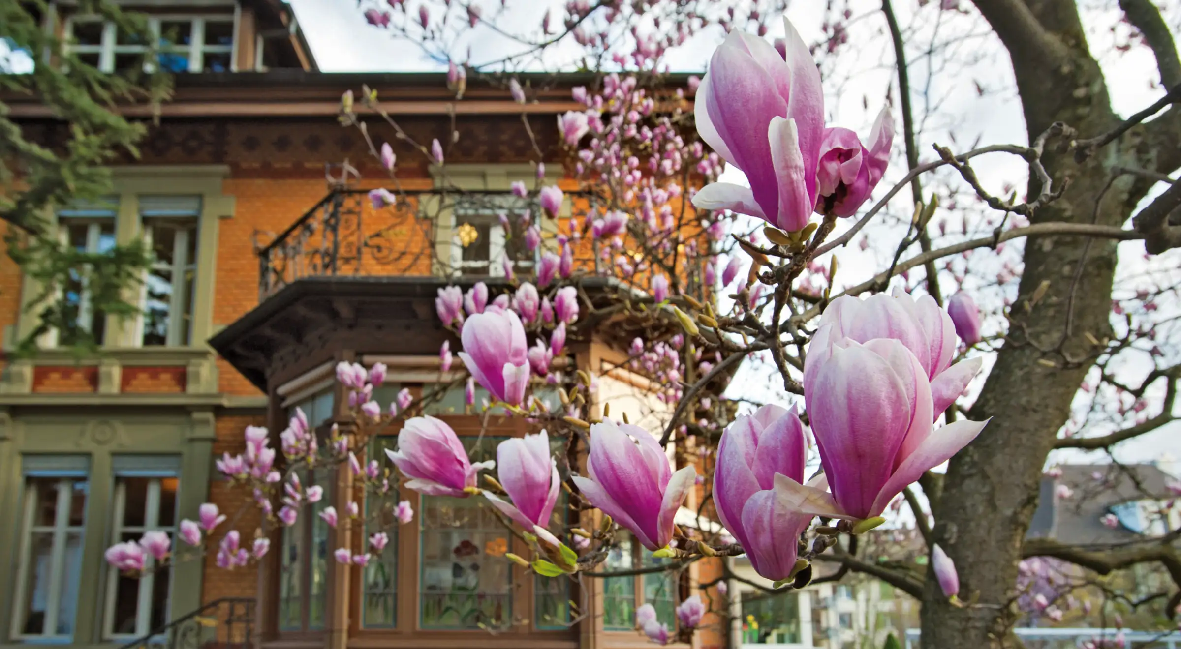 Tertianum-Villa-Sutter-Garten